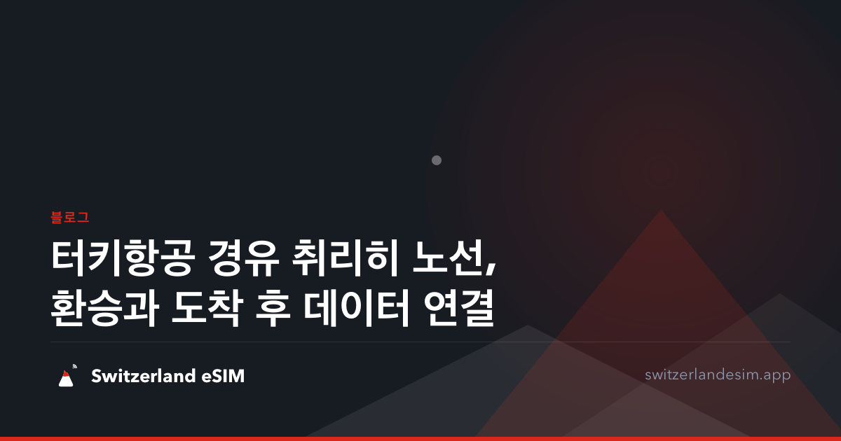 터키항공 경유 취리히 노선, 환승과 도착 후 데이터 연결